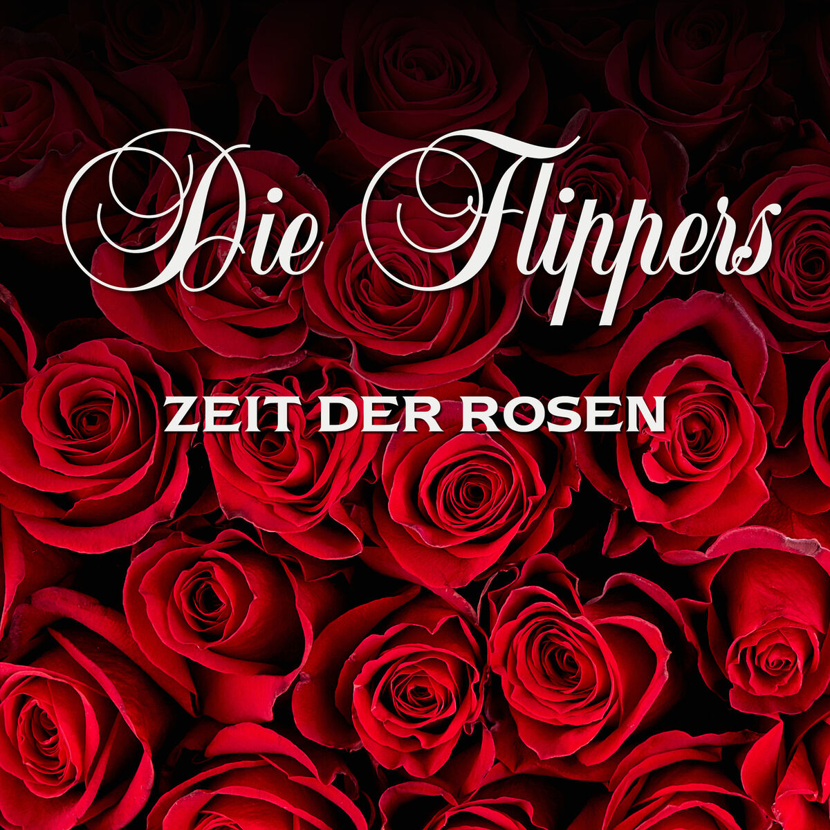 Album cover of Zeit der Rosen