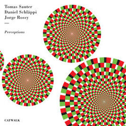 Cover of Perceptions