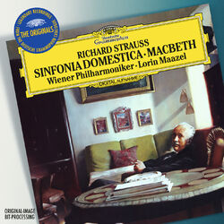 Cover of Strauss, R.: Sinfonia Domestica; Macbeth (The Originals / Live)