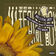 Material Boy (The Naked And Famous Remix) by Sir Sly album cover