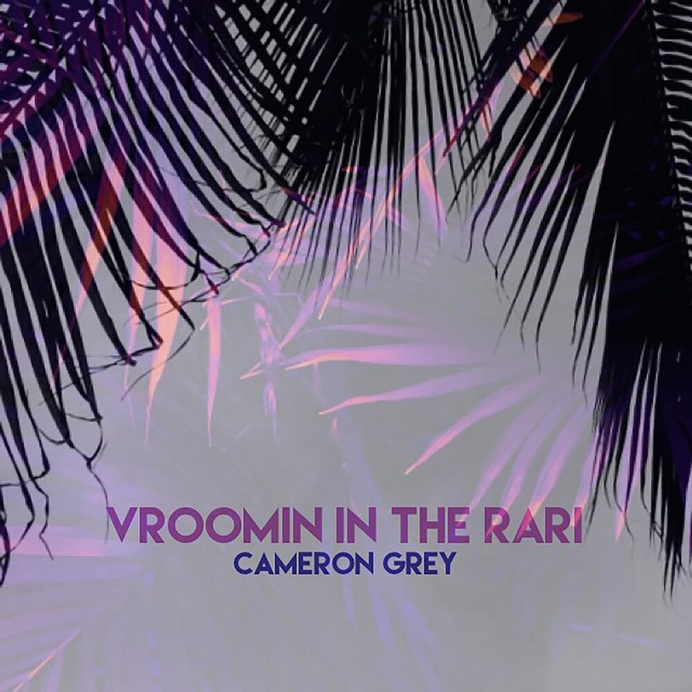 Picture of Vroomin in the Rari
