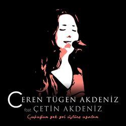Cover of Çubuğum Yok Yol Üstüne Uzatam