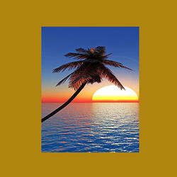 Cover of Fim de Tarde