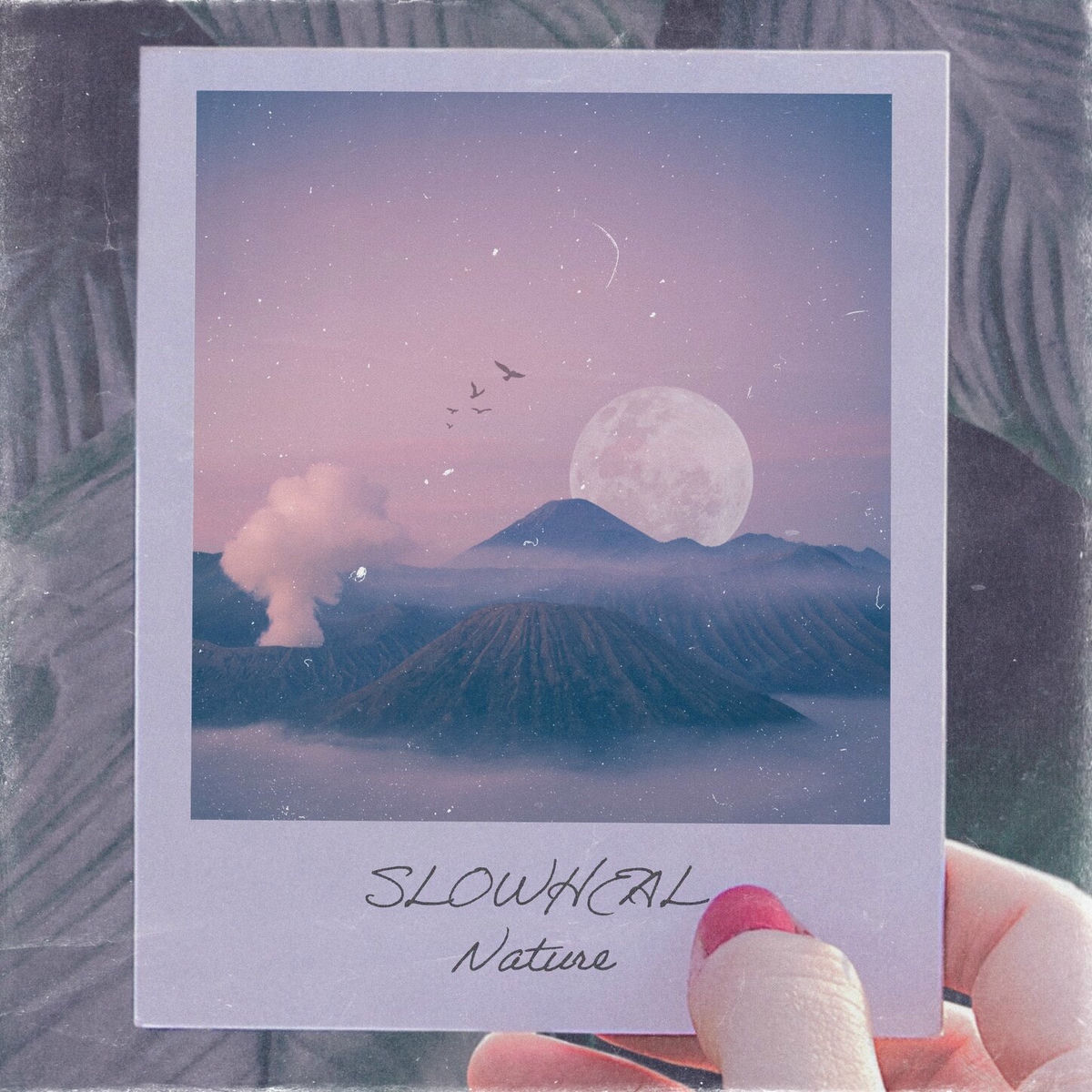 Album cover of Nature