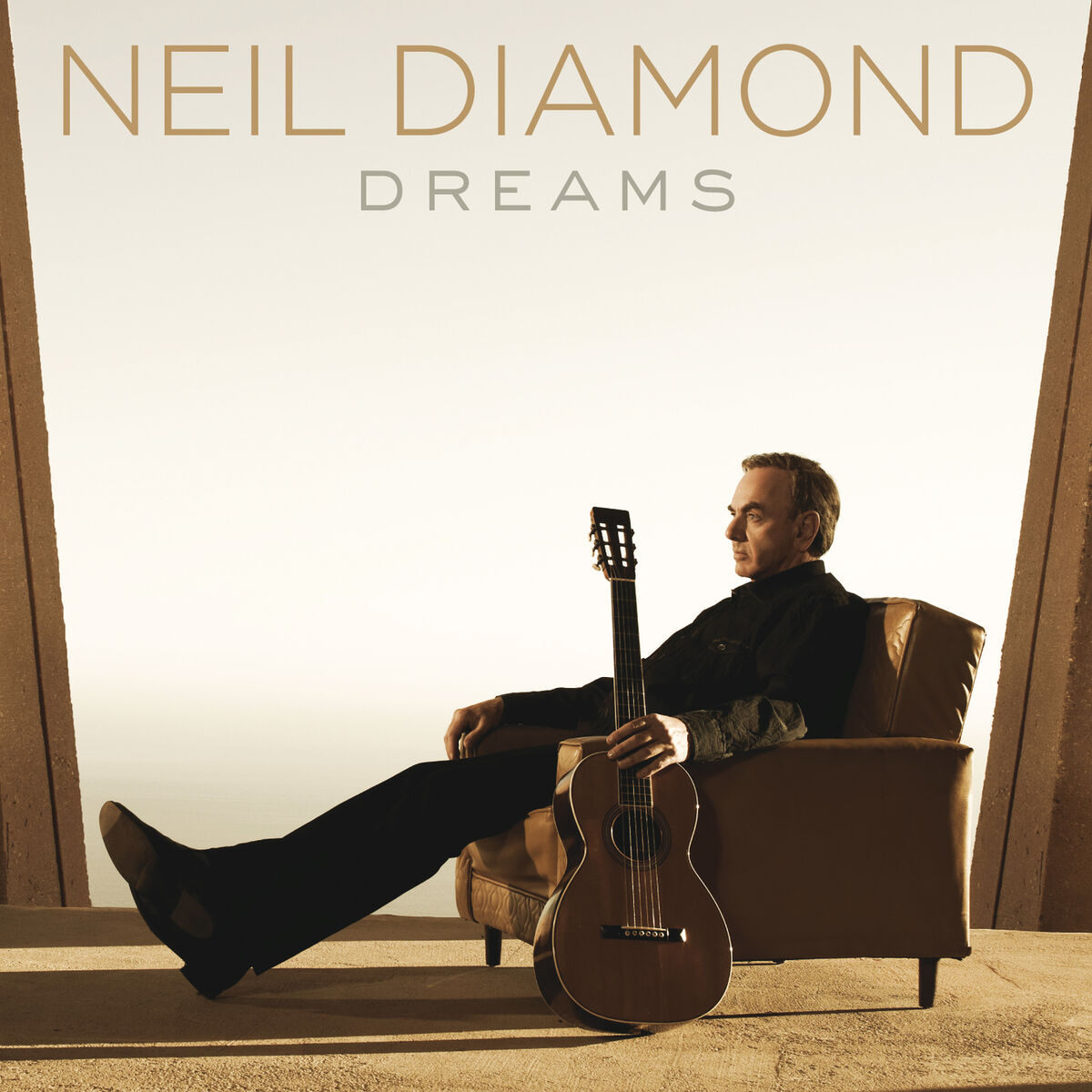 Album cover of Dreams