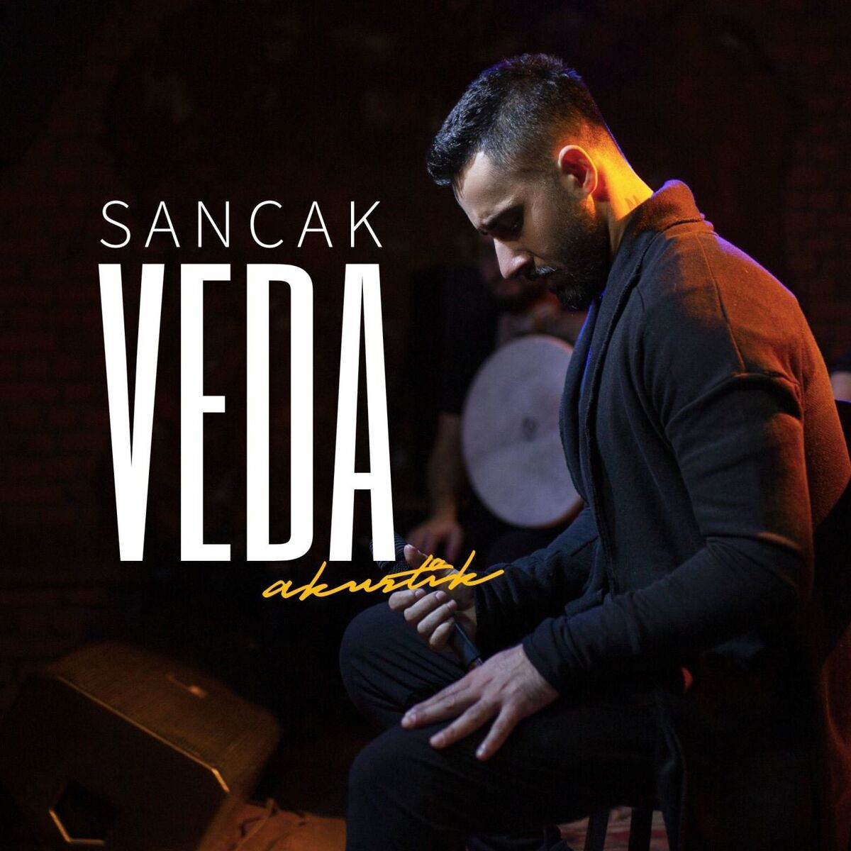 Album cover of Veda