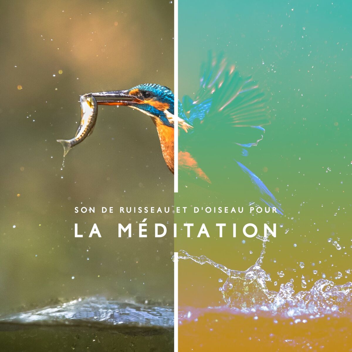 Album cover of Musique de méditation avec son de ruisseau et d'oiseaux pour une relaxation profonde