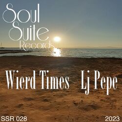 Cover of Wierd Times