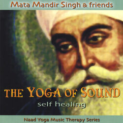 Cover of Self Healing