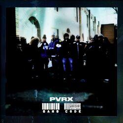 Cover of Gang Code
