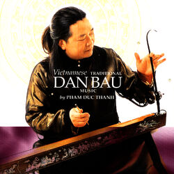 Cover of Vietnamese Traditional Dan Bau Music