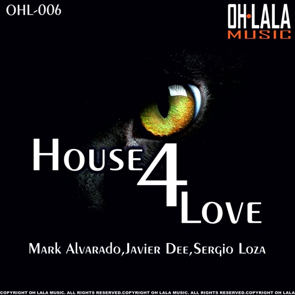 Picture of House 4 Love