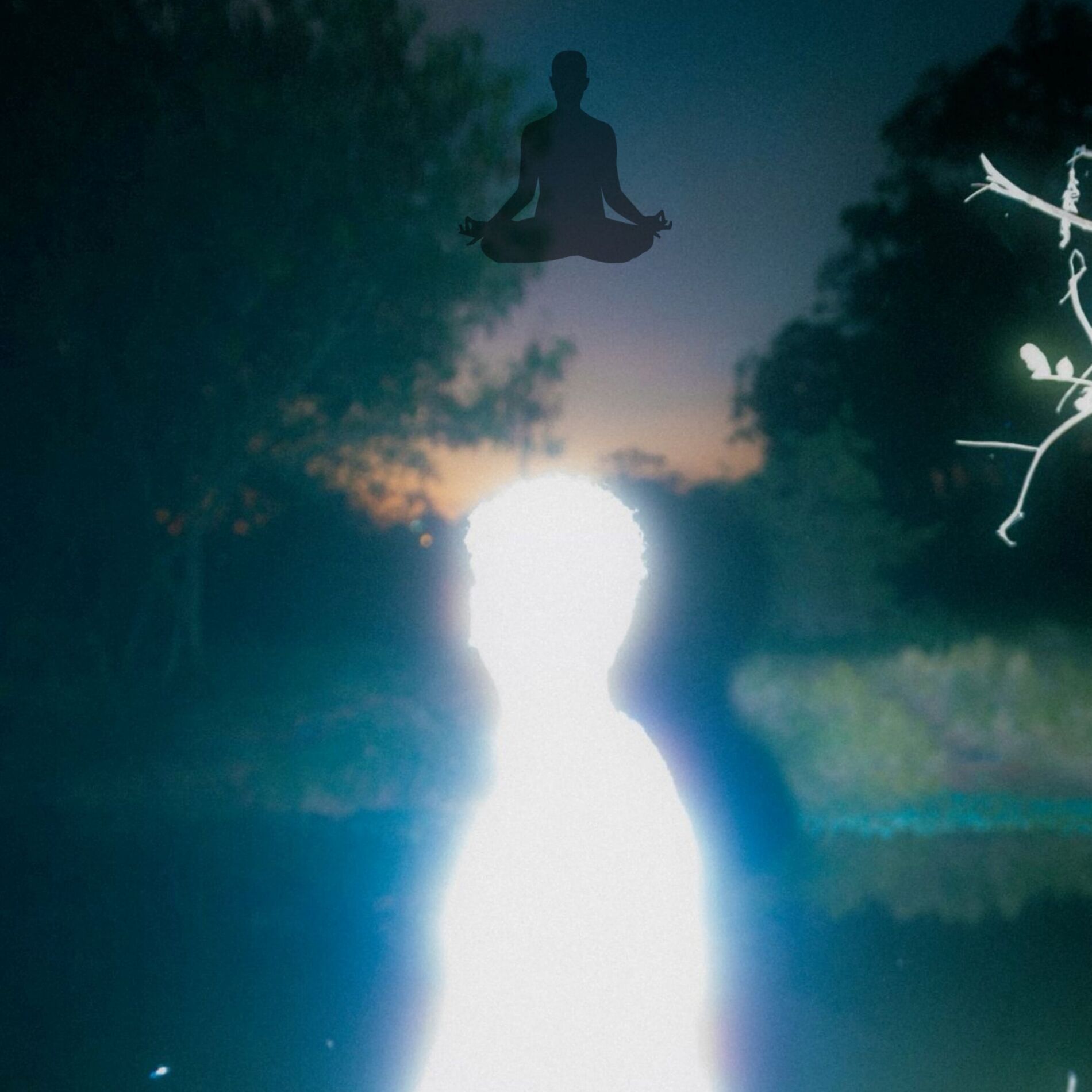 Album cover of Miracle Sleep