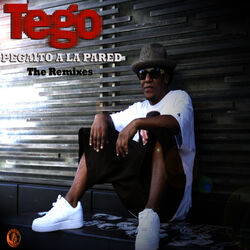 Cover of Pegaito a la Pared "The Remixes"