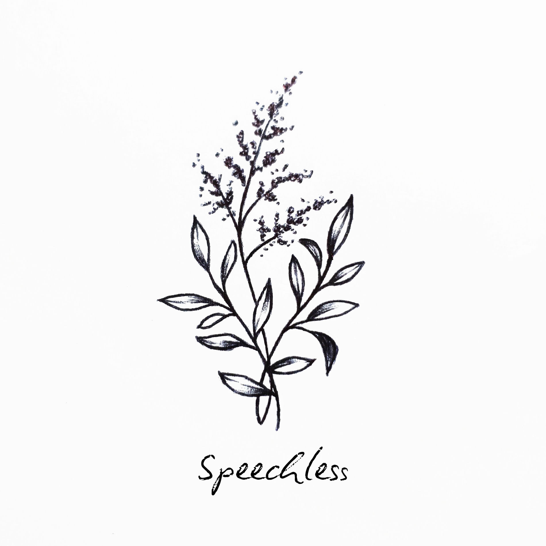 Album cover of Speechless