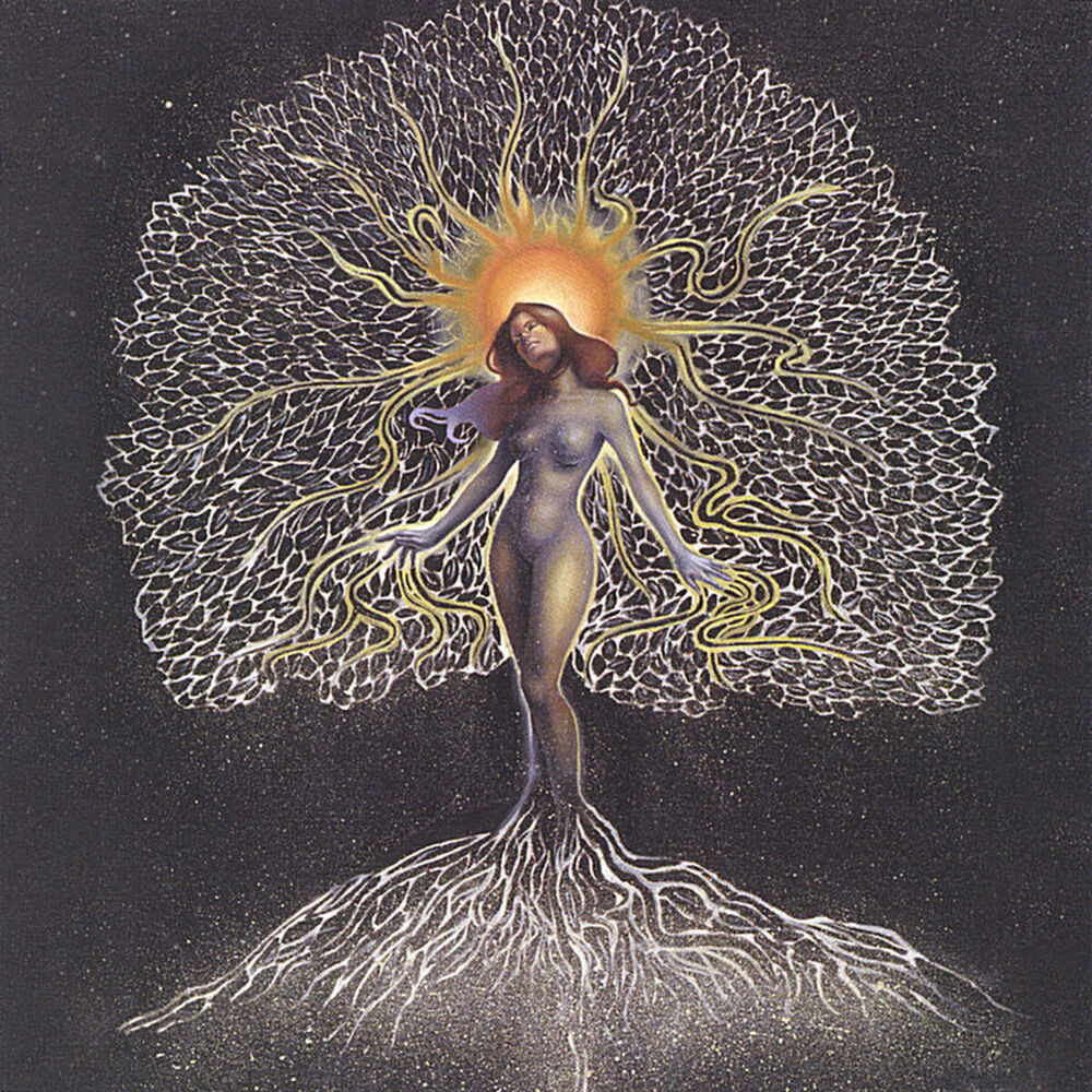 Picture of Celestial
