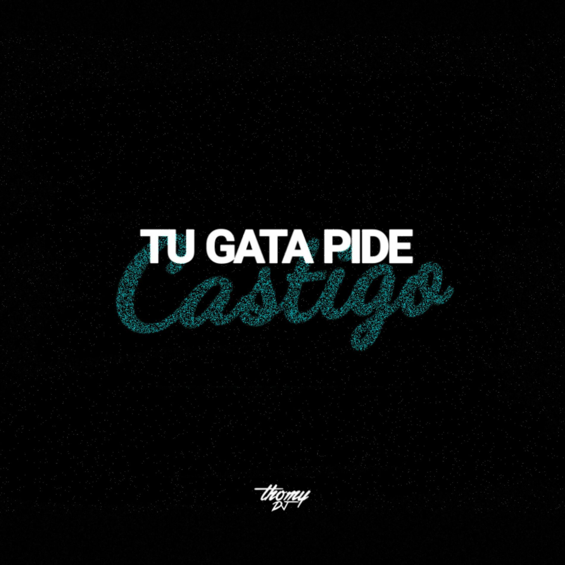 Album cover of Tu gata pide cast1go
