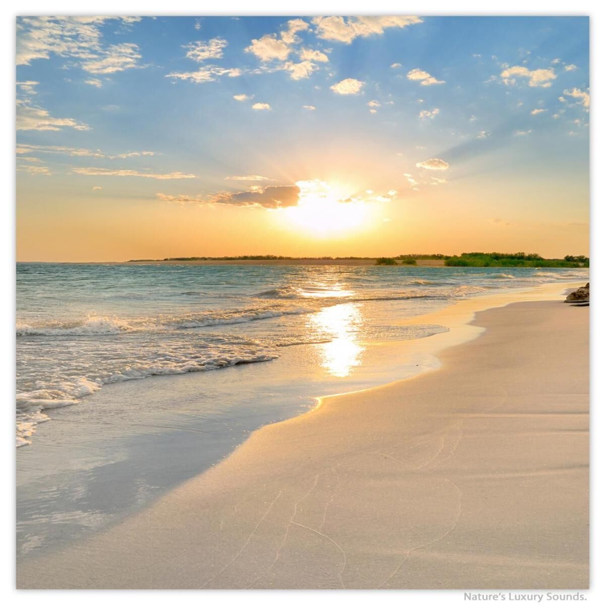 Album cover of Nature Soundscapes