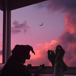Cover of the moon knows all my secrets