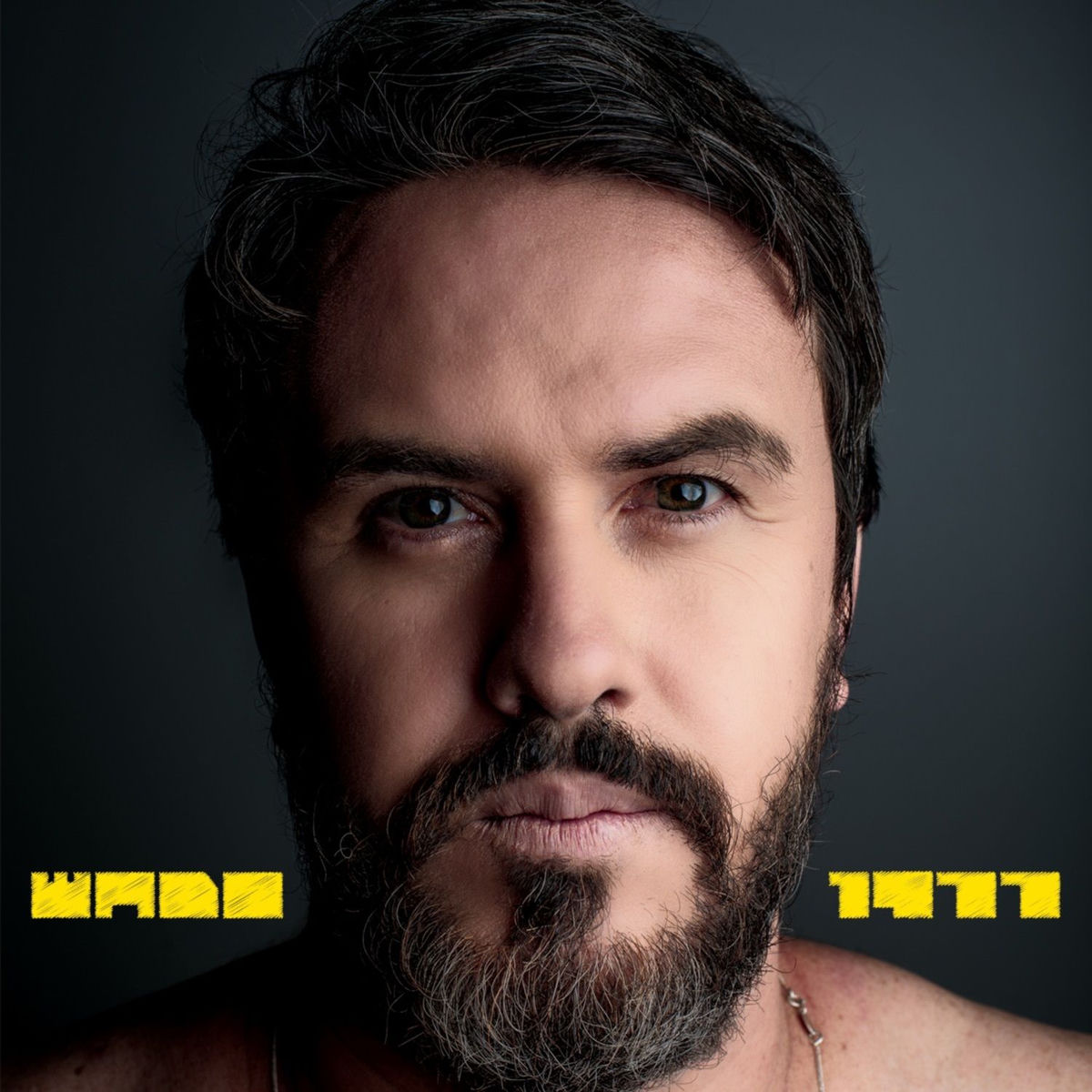 Album cover of 1977