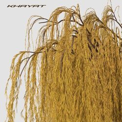 Cover of В кінці греблі шумлять верби