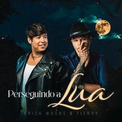 Cover of Perseguindo a Lua