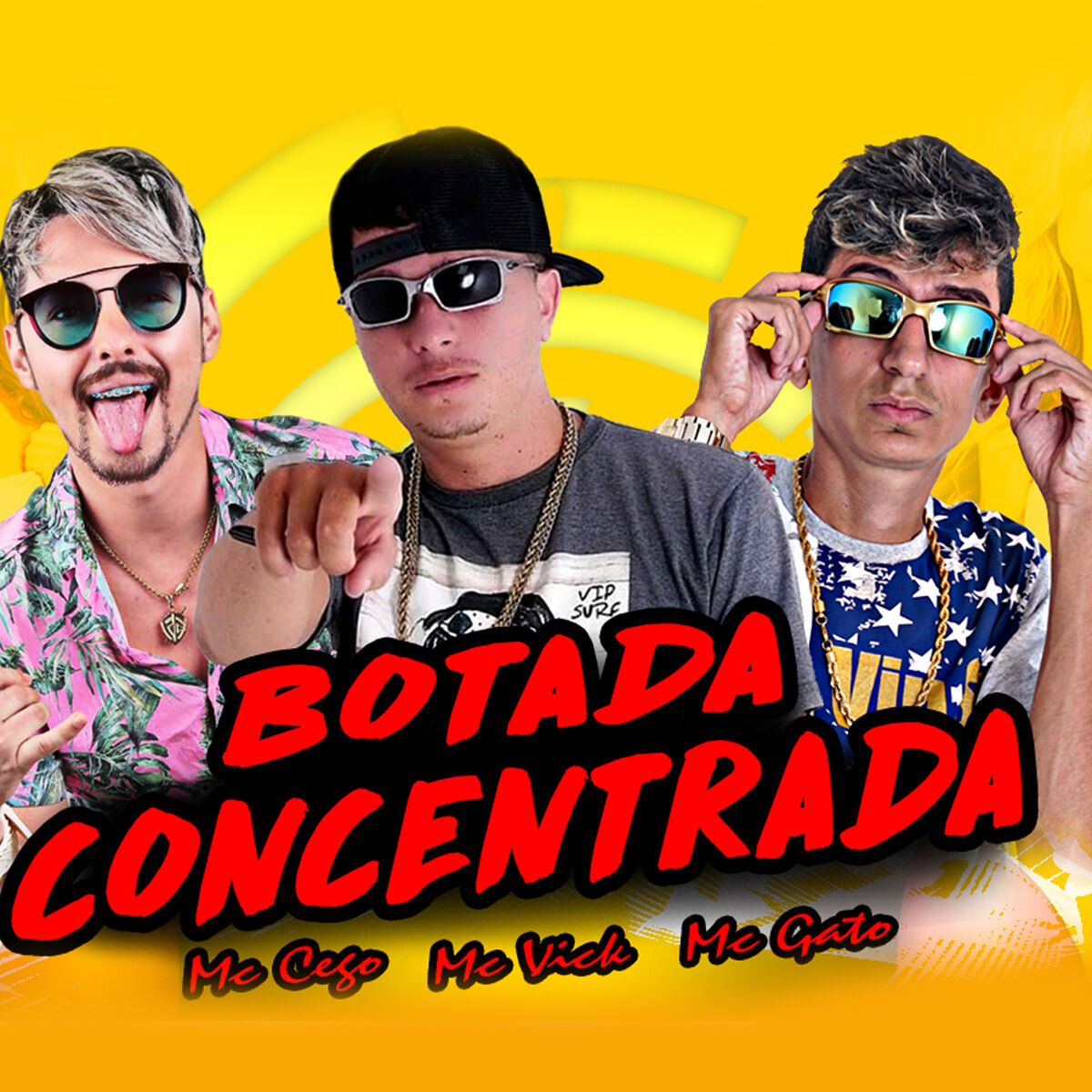 Album cover of Botada Concentrada