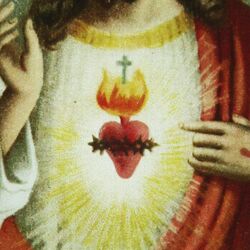 Cover of Love of God