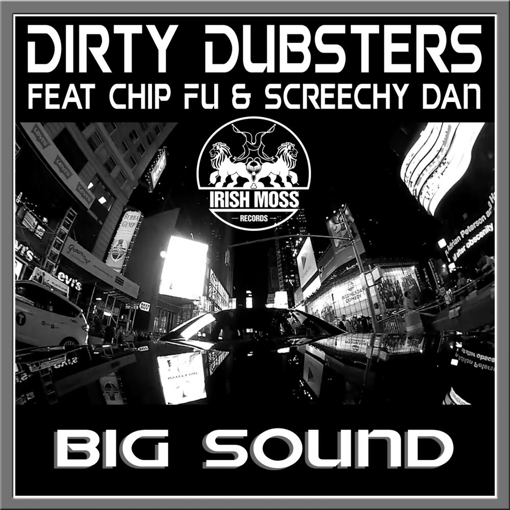 Picture of Big Sound (feat. Chip Fu & Screechy Dan)