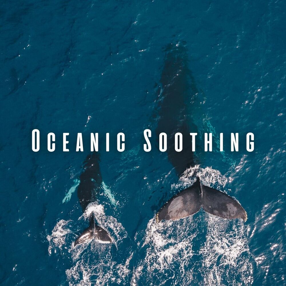 Picture of Oceanic Soothing: Binaural Harmony and Calmness for Pets