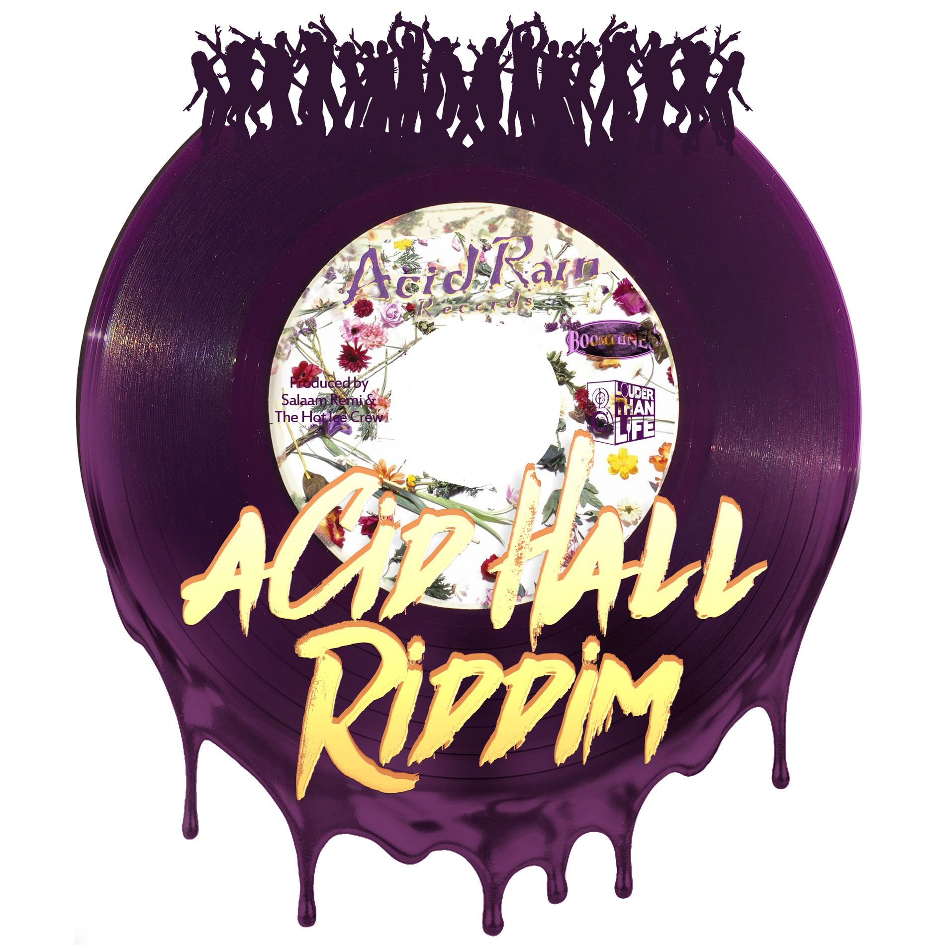 Album cover of Acid Hall Riddim