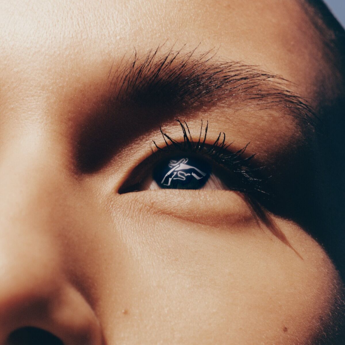 Album cover of JOY (Head To The Sky)