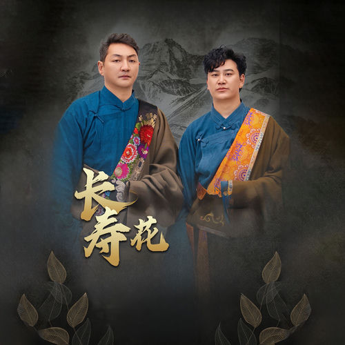 长寿花