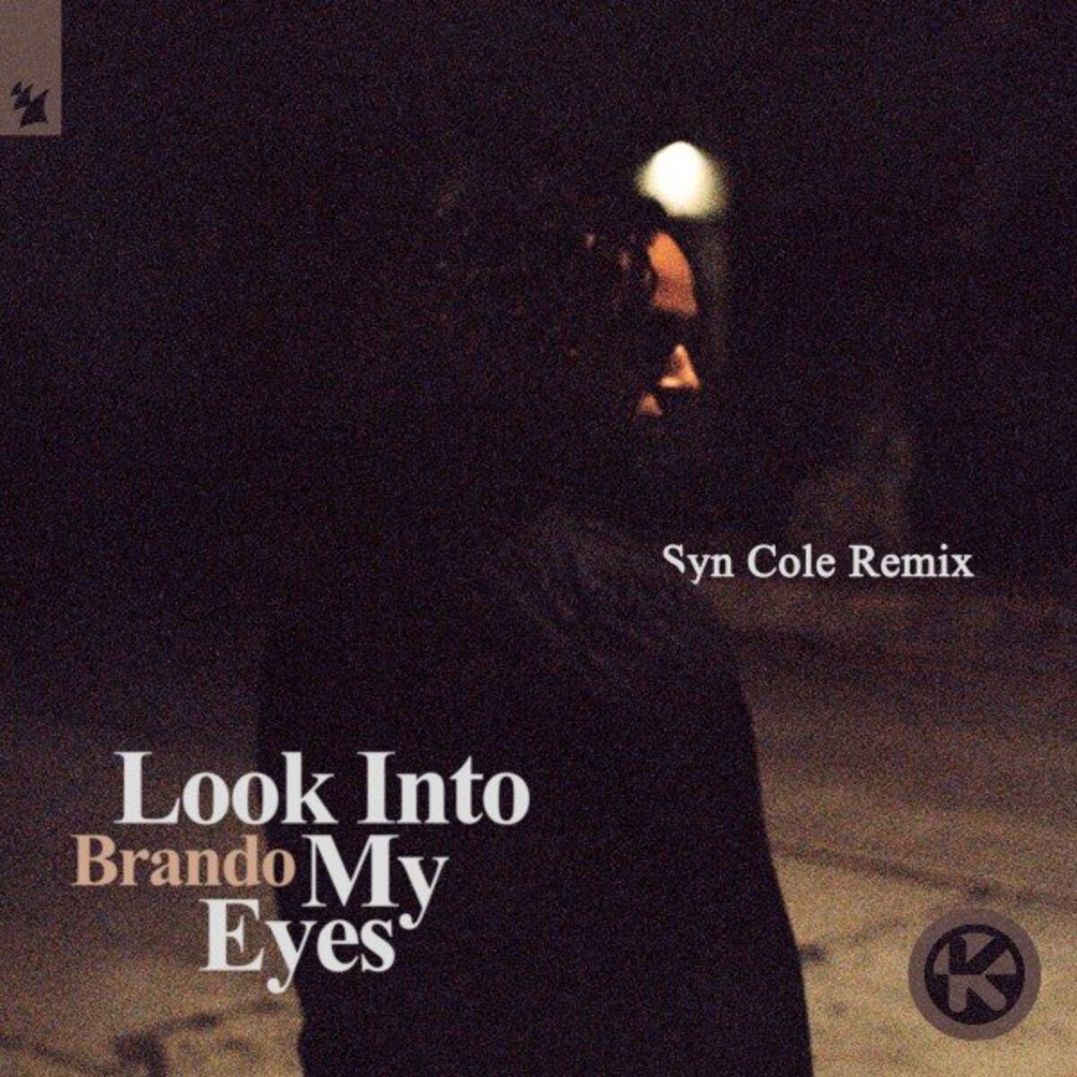 Album cover of Look into My Eyes (Syn Cole Remix)