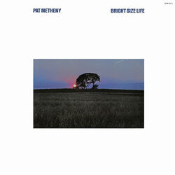 Cover of Bright Size Life