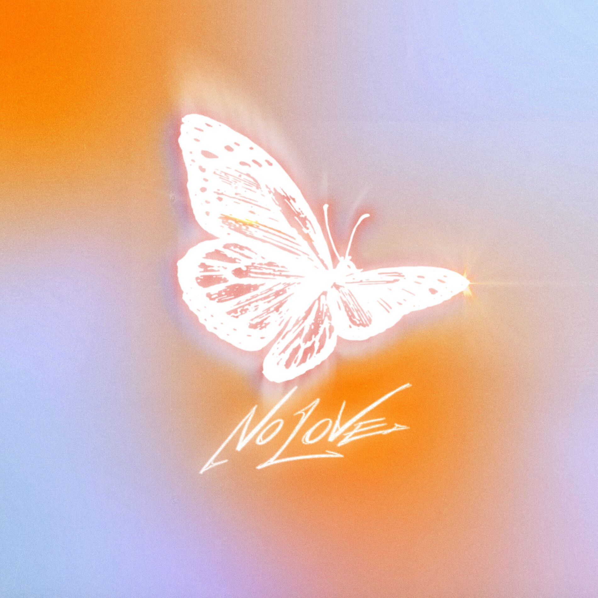 Album cover of NO LOVE