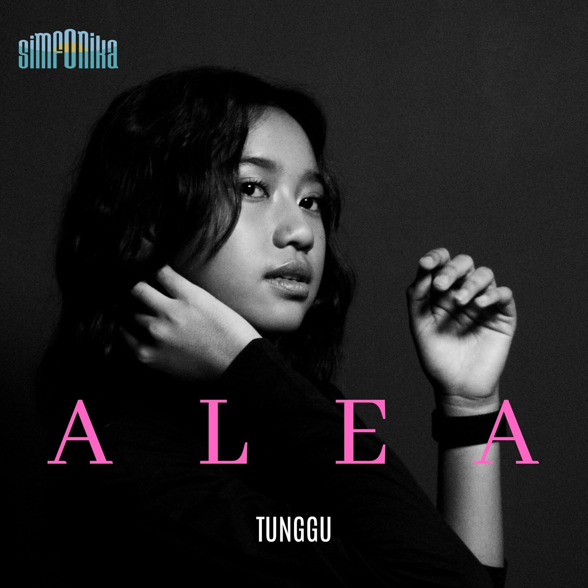 Album cover of Tunggu
