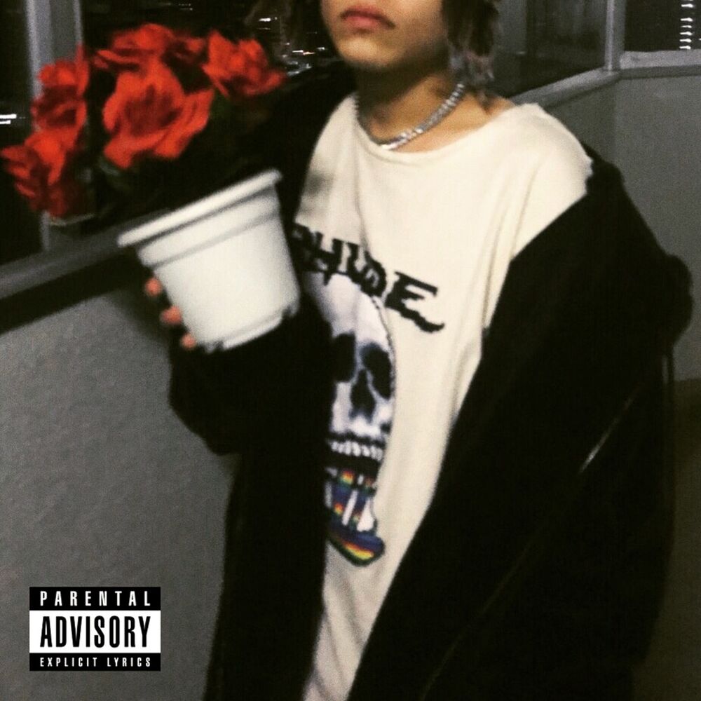 Picture of Never Be the Same