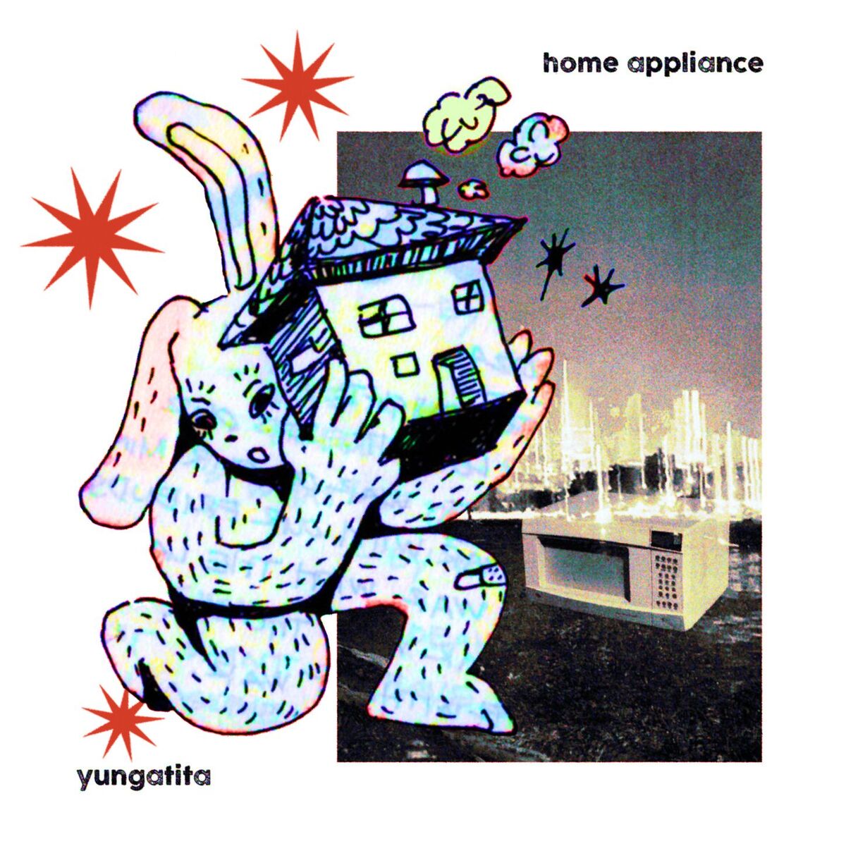 Album cover of Home Appliance
