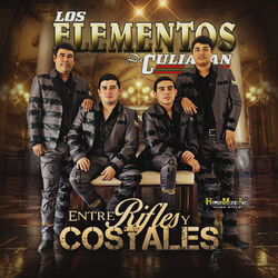 Cover of Entre Rifles y Costales