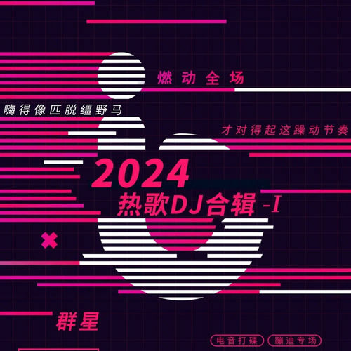 2024热歌dj合辑-I