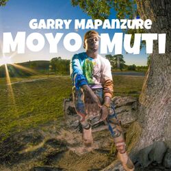 Cover of Moyo Muti