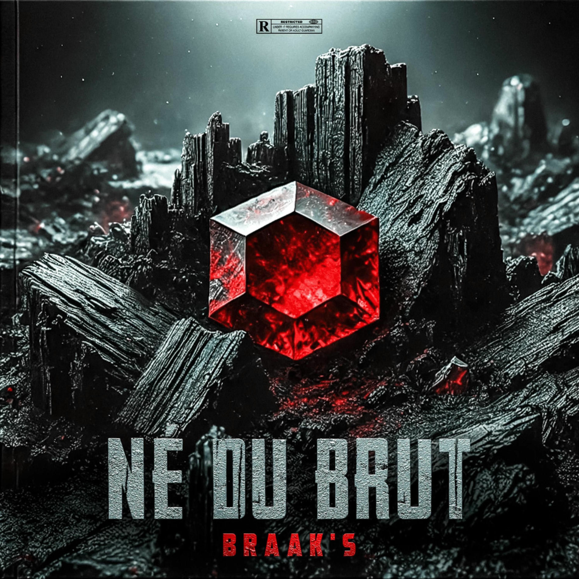 Album cover of Né du brut