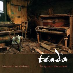 Cover of In Spite of the Storm