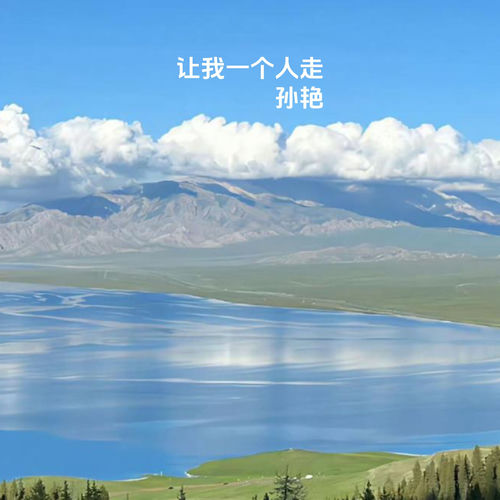 让我一个人走