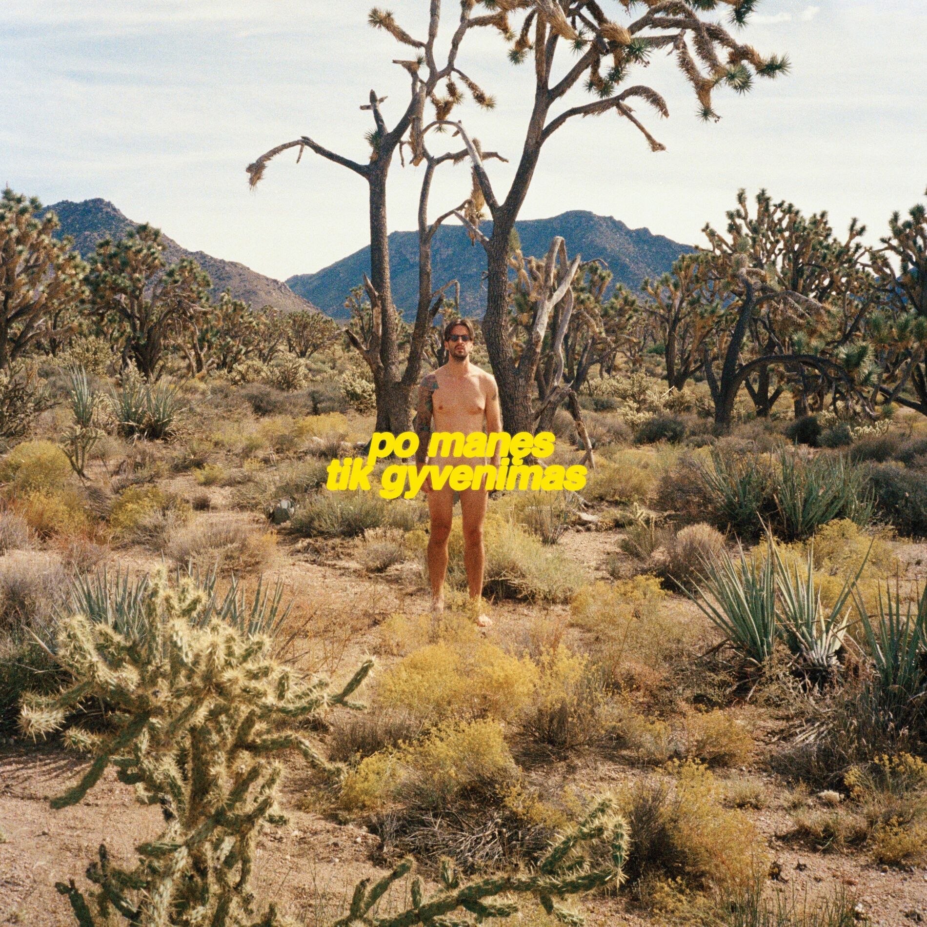 Album cover of po manęs tik gyvenimas