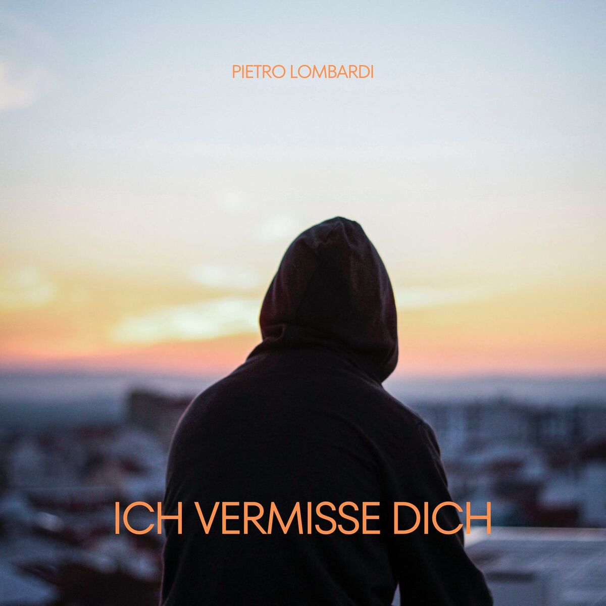 Album cover of Ich vermisse dich