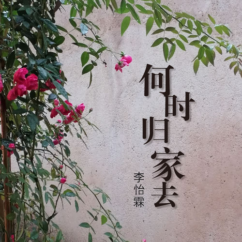 何时归家去