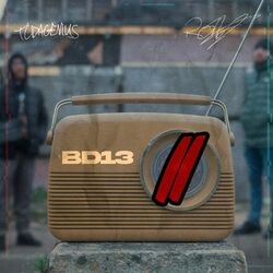 Cover of BD13 II