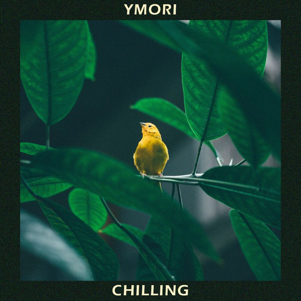 Picture of Chilling